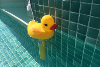 Detalle de piscina con nacarado turquesa y patito de goma