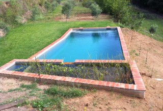 Piscina natural en casa particular