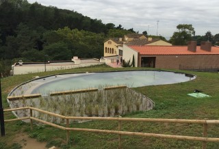 Piscina natural lago en Vallromanes